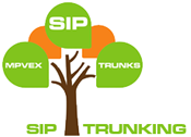 siptrunklogo - Business Phones & Office Phone Systems St. Louis, MO | Metropark Communications Inc.